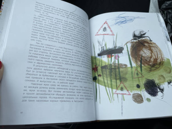 Джанумберто Аччинелли: Эффект домино. Невидимые нити природы