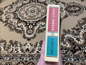 Ирвинг Стоун: Муки и радости. Биографический роман о Микеланджело