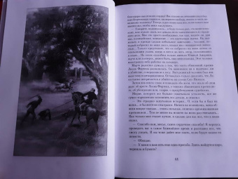 Луи Буссенар: Ледяной ад. Капитан Сорви-голова