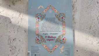 Джада Франча: С Новым годом! Большая книга-адвент с окошками