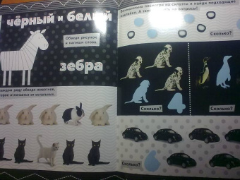 Обведи, наклей, узнай (без фломастера). Цвета