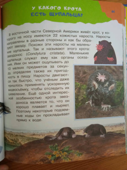 Павел Бобков: 100 тысяч почему