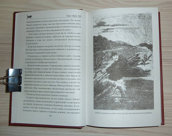 Рид Майн: Пиратский остров. Молодые невольники