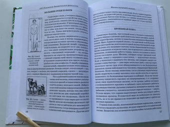 Александр Никольский: Занимательная физиология