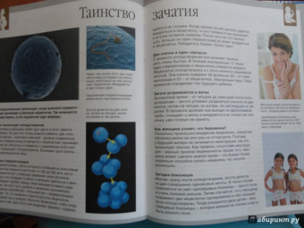 Буэ, Симон: Тело человека