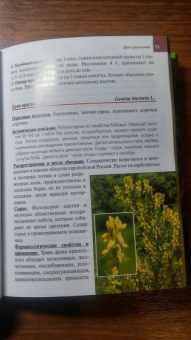 Александр Ефремов: Дикорастущие лекарственные растения средней полосы России:  карманный справочник