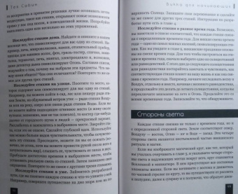 Тея Сабин: Викка для начинающих. Основы философии и практики