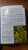 Александр Ефремов: Дикорастущие лекарственные растения средней полосы России:  карманный справочник