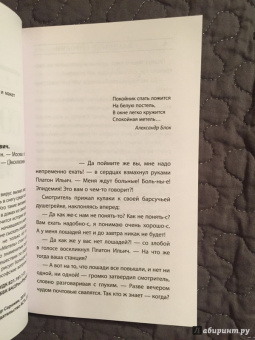 Владимир Сорокин: Метель