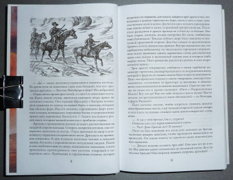 Лизелотта Вельскопф-Генрих: Токей Ито