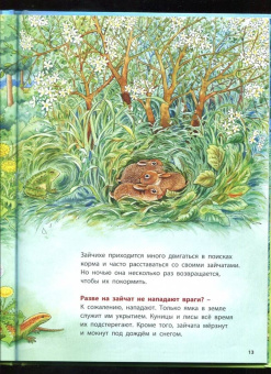 Фридерун Райхенштеттер: Как живут кролики и зайцы. Познавательные истории