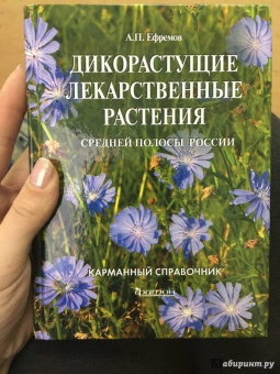 Александр Ефремов: Дикорастущие лекарственные растения средней полосы России:  карманный справочник