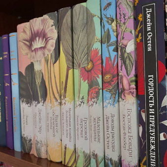 Гюстав Флобер: Госпожа Бовари