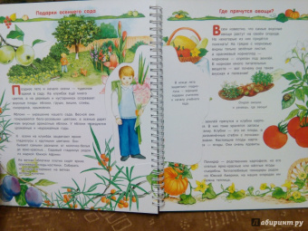 Татьяна Елумеева: Растения