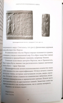 Юлия Чмеленко: Шумерские мифы. От Всемирного потопа и эпоса о Гильгамеше до бога Энки и птицы Анзуд