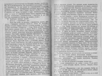 Дмитрий Фурманов: Мятеж