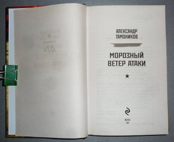 Александр Тамоников: Морозный ветер атаки