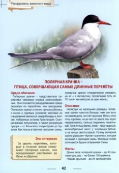 Людмила Соколова: Энциклопедия. Рекордсмены животного мира