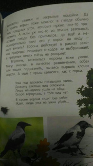 Василий Вишневский: Наши птицы. Определитель для детей