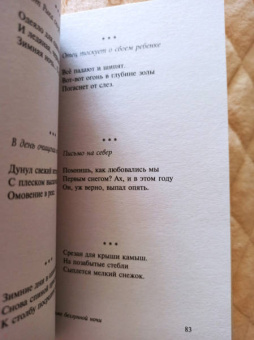 Мацуо Басё: Во тьме безлунной ночи