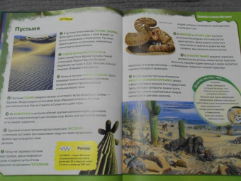 Вероника Пеллегрини: Вопросы и ответы обо всем на свете