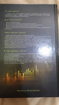 Шамиль Аляутдинов: Деньги под контролем