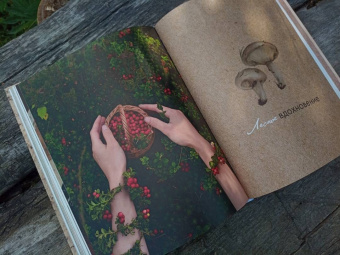 Елена Тын: Истории волшебного леса. Рецепты, рассказы, рукоделие и чудесные поделки, вдохновлённые природой