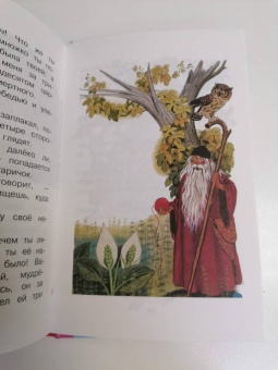 Летучий корабль. Русские народные сказки
