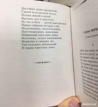 Александр Пушкин: Евгений Онегин