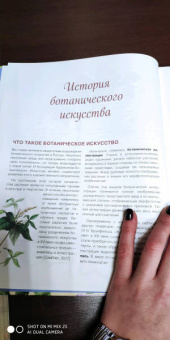 Анна Алёшина: Современное ботаническое искусство. Живопись, графика, скульптура Мастер-классы в различных техниках