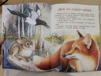 Николай Сладков: Бюро лесных услуг