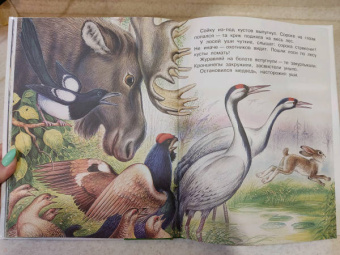 Николай Сладков: Бюро лесных услуг