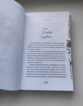 Виктория Шваб: Галлант