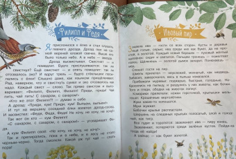 Николай Сладков: Лесные сказки