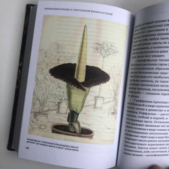 Майкл Аллаби: Скандальная правда о сексуальной жизни растений