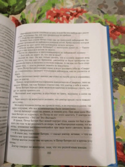 Жюль Верн: Матиас Шандор